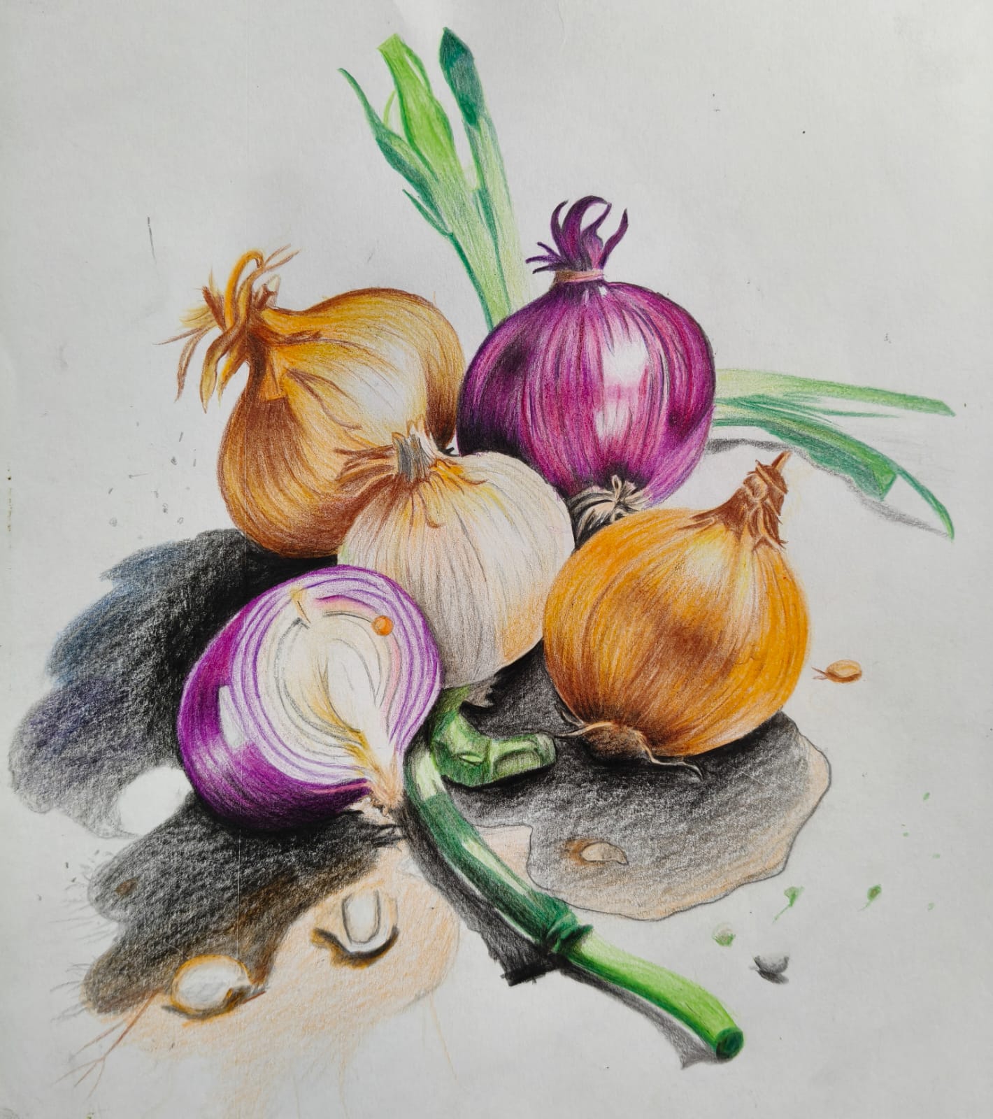 Colour pencil onion still life