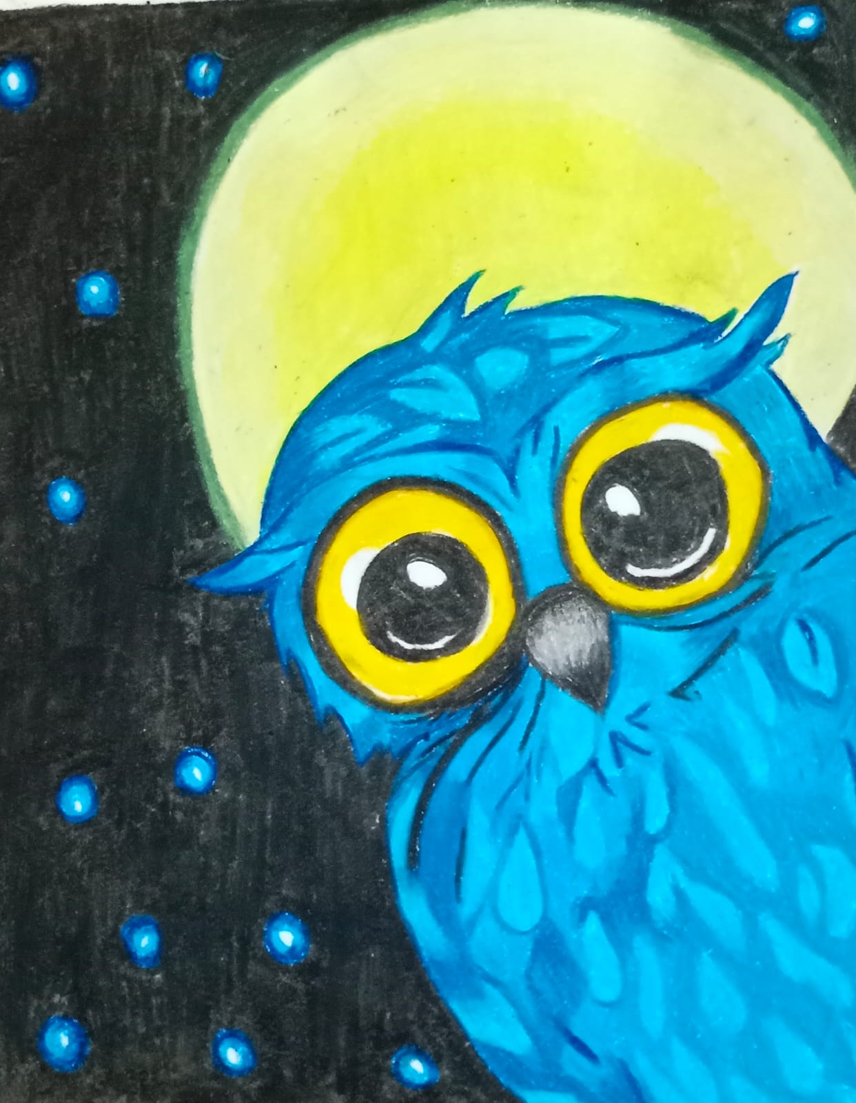 Colour pencil owl illustration