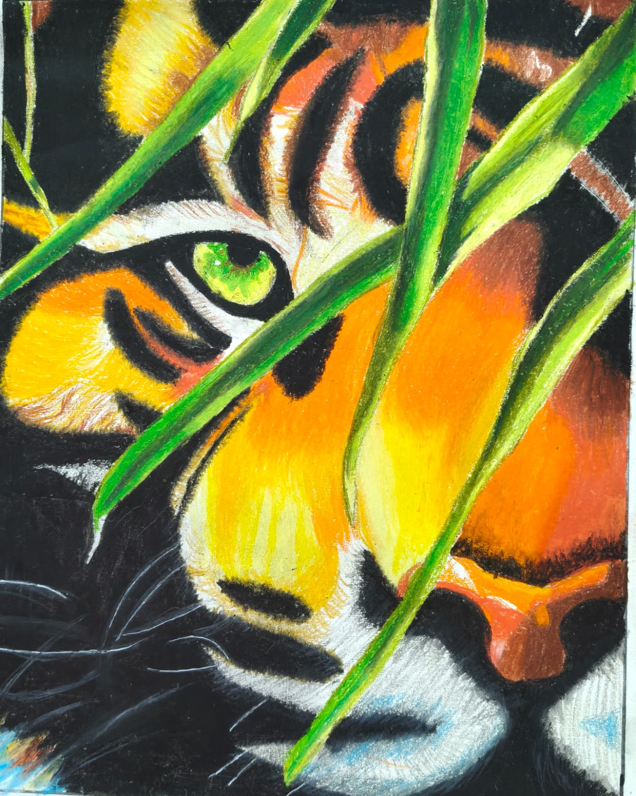 Colour pencil wildlife portrait